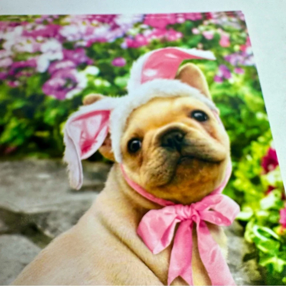4 Avanti Greeting cards - puppy dog with bunny ears on stone path Easter